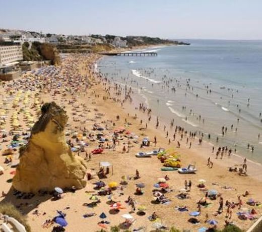 Ocean View - Fantastico Studio em Albufeira