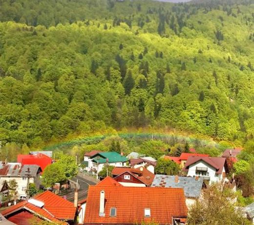 Elite Apartments Sinaia