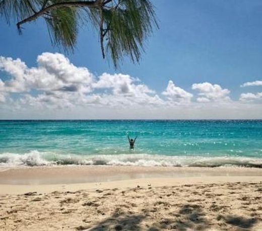 230 GG Rockley Barbados