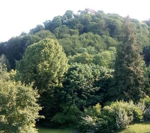 Appartement 53m2 gross mÃ¶bliert mit Internet-TV Kuche Mit schÃ¶ner Aussicht 53 m2 in zwischen Olten und Aarau