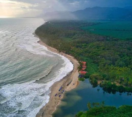 Bob Marley Beach