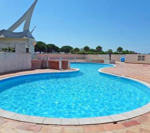 T2 entiÃ¨rement renove Chabian Port Camargue