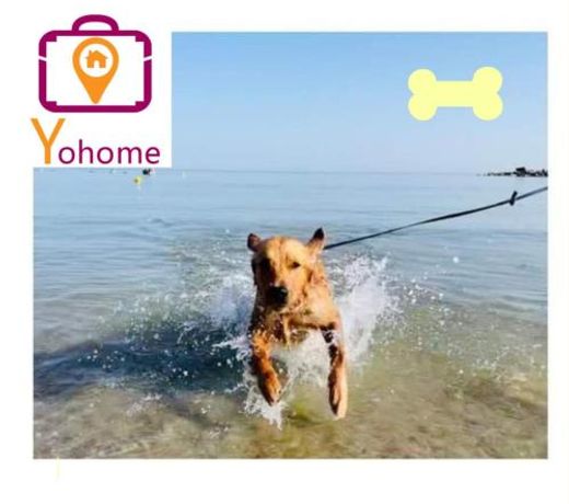 Zara D'Amare a Pesaro 10 metri dalla spiaggia by Yohome