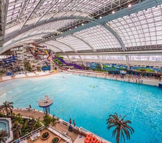 Spacious 6Bed 2bath Bungalow near WEM, w free parking & WiFi!