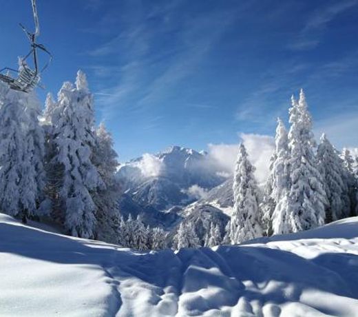 Holiday flat Daniela, Hippach im Zillertal