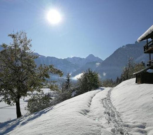 Holiday flat Daniela, Hippach im Zillertal