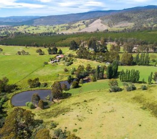 Hamlet Downs Country Accommodation
