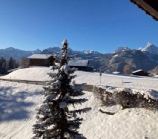 Chalet Soldanella 10 guests Gstaad