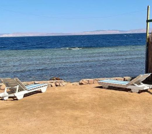 Dolphin Camp & Diving
