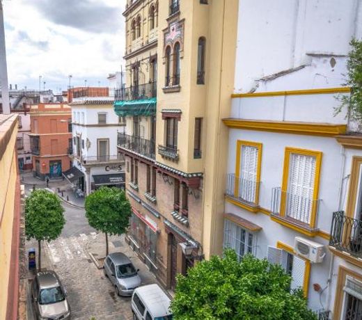 Guesthouse Apartment Seville La Flamenka