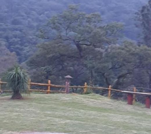 Tropical Blooms Coorg