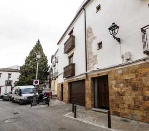 Vivienda turÃ­stica Lagarto de Jaen