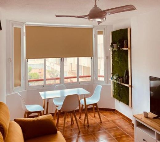 Apartamento Mil Palmeras