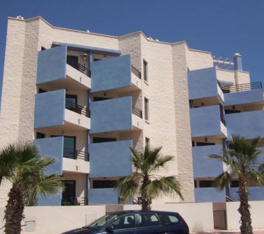 Regia Bahia, Playas De Orihuela