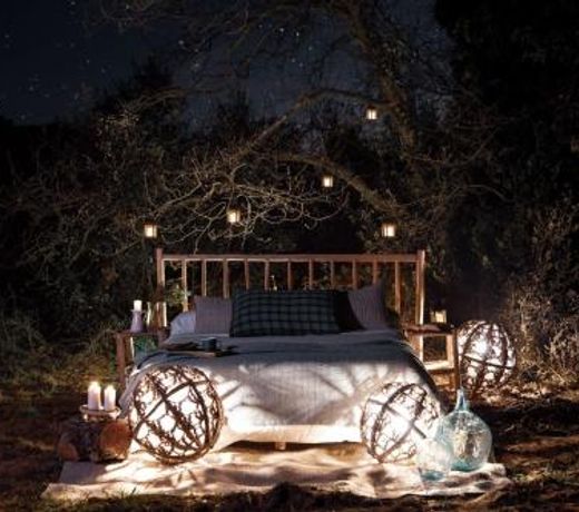 Nits de Bosc