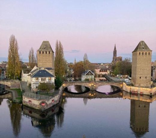 Appartement 2P Strasbourg centre - Homme de fer