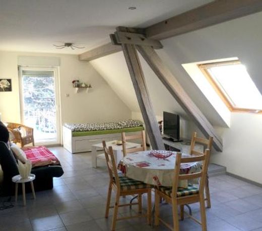 Appartement d'une chambre avec wifi a Lohr