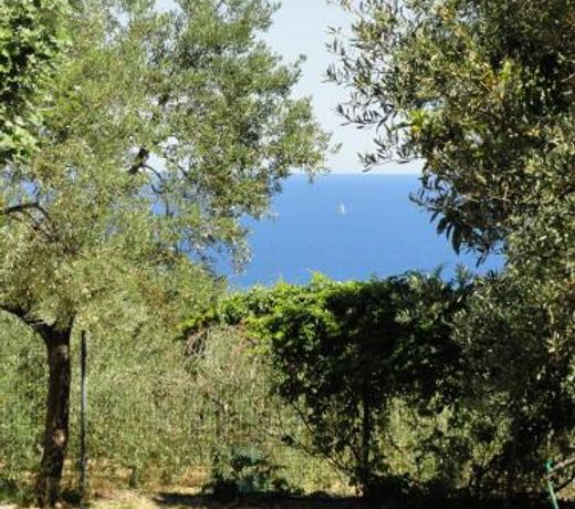 Camping Ali Baba