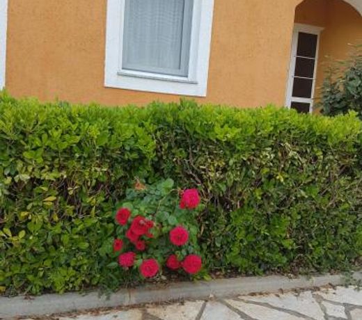 Apartmani Anna
