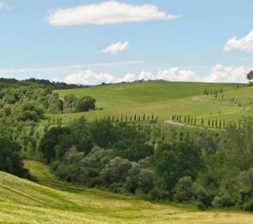 Amazing apartment in Torrita di Siena with Outdoor swimming pool, WiFi and 2 Bedrooms