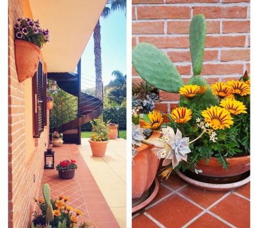 Una fuga inaspettata