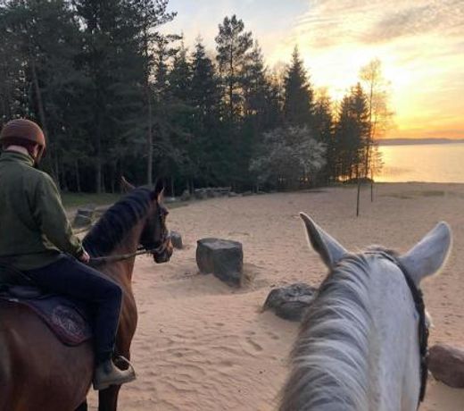 Nature Escape - Soprano - SPA - Horses - Lake Plateliai
