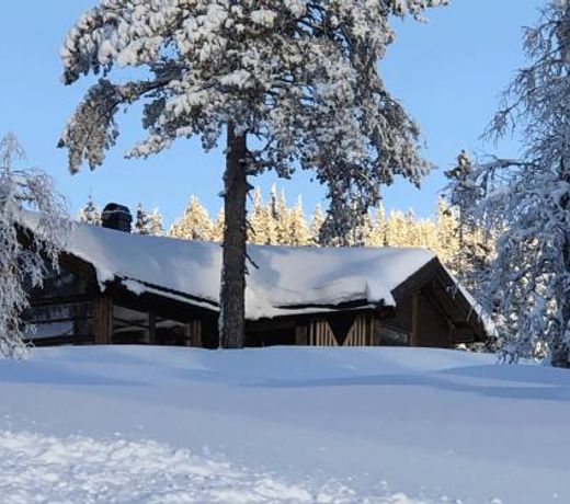 Skarehaug - koselig hytte med 3 soverom