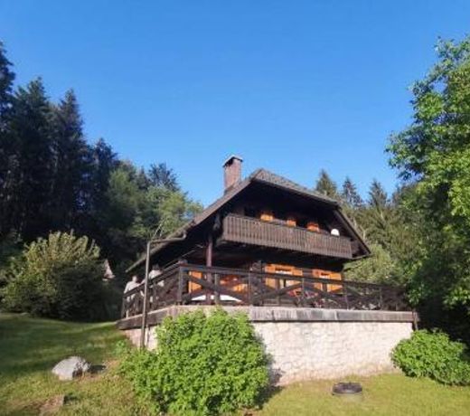 Cottage in the woods - Lake Bohinj