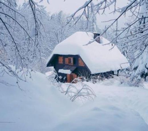 Cottage in the woods - Lake Bohinj