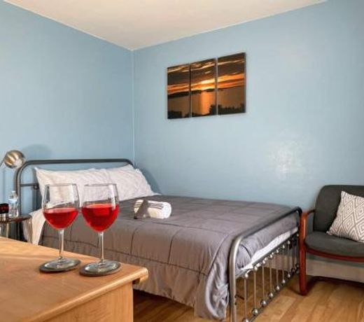 2 BR Apt near Great Lakes Naval Base and 6 Flags