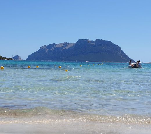 Apartment sleeps 6 - Porto San Paolo