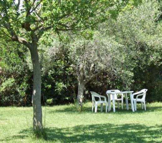 Agriturismo Tattarini