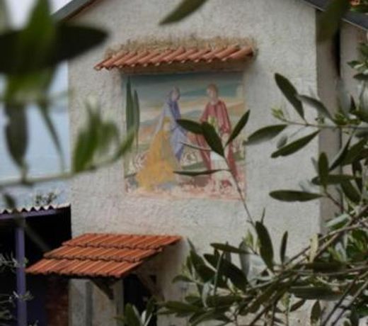 Fattoria Cristina - Fenice