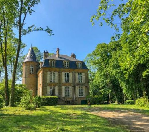 Private Castle with Park