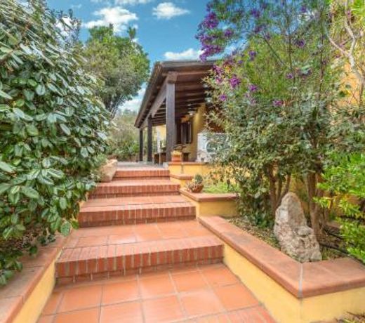 Casa Vacanza Monte Petrosu