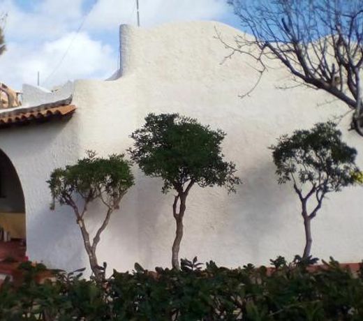 House with 2 bedrooms in Torretta Granitola with wonderful sea view and enclosed garden