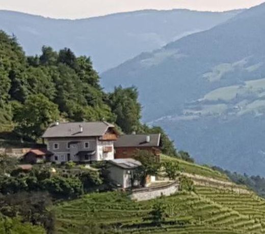 Maso Fallmerayer - Fallmerayerhof