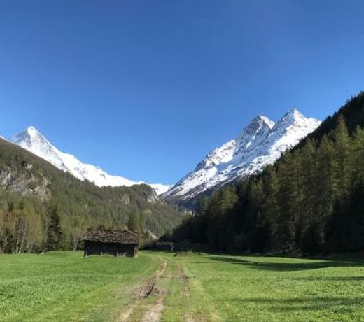 Chalet 12 Cerfs
