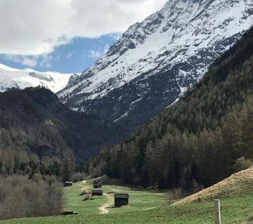 Chalet 12 Cerfs