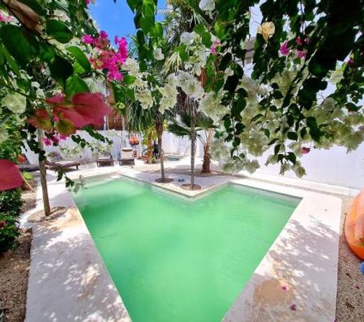 Caribe Dream Private Beach
