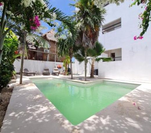 Caribe Dream Private Beach