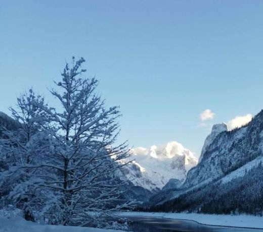 Kalvarienberg Appartement Gosau