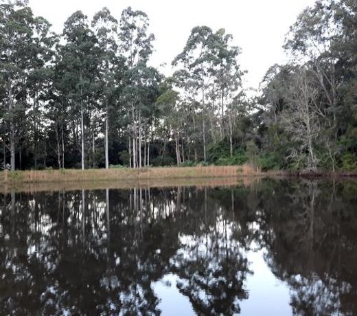Orana"Welcome" Cabin in The Tops