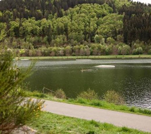 Ferienwohnung mit Seeblick â Sport und Erholung