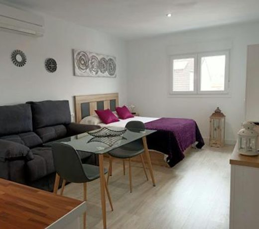 Apartamentos NayDa studio 1
