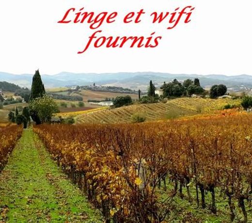 La Languedocienne appartement climatise centre ville wifi inclus