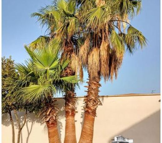 Villa DALI LA GARDE 260m2 Jacuzzi, Sauna, Piscine, jardin 500m2, 5 minutes de la Plage
