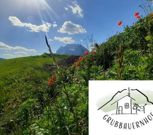 Grubbauernhof
