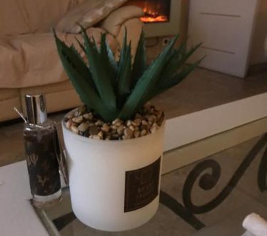 Le jardin