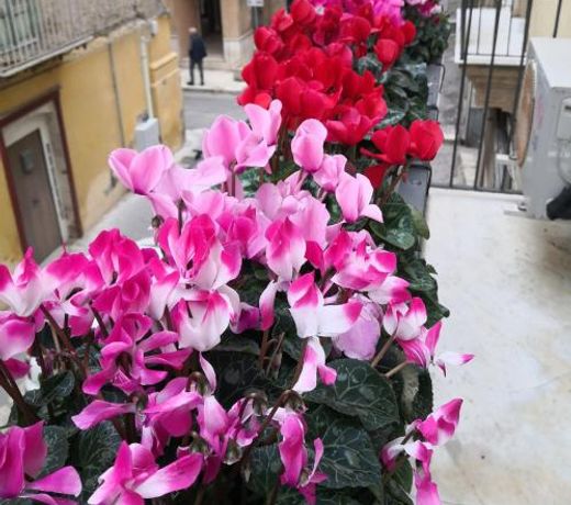 Palazzo GioffrÃ¨